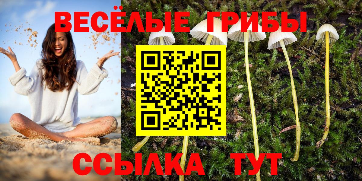 Галлюциногенные грибы прущие грибы  Вход с VPN  Кашира 